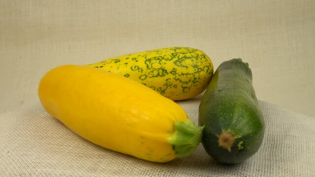 Zucchini and yellow summer squashes are laid out on white burlap 