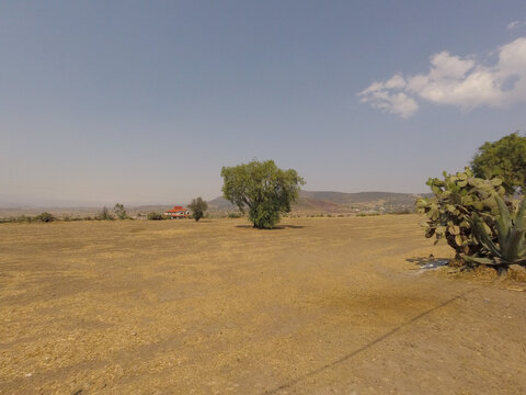 Llano a medio d&iacute;a