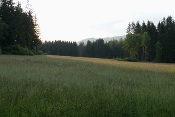 beautiful nature landscape in beskydy in eastern bohemia