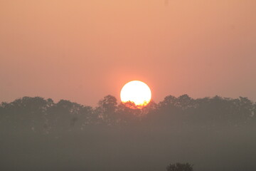 Sonnenuntergang über dem Wald