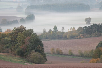 Nebel am Morgen