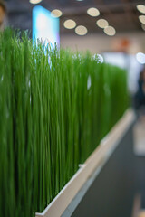 wall of high artificial green grass in the interior blurred image