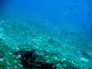 Fototapeta na wymiar Unter Wasser