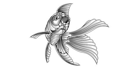 Fototapeta premium vector illustration of a fish