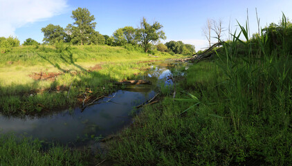 Oxbow lake in the valley of the Vistula river near Warsaw, Mazovia, Poland