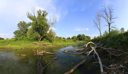 Oxbow lake in the valley of the Vistula river near Warsaw, Mazovia, Poland