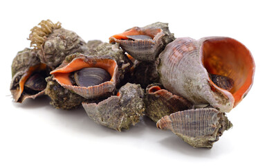 Pile of fresh rapans.