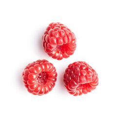 Ripe red raspberries