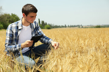 Young man with clipboard in barley field. Agriculture business