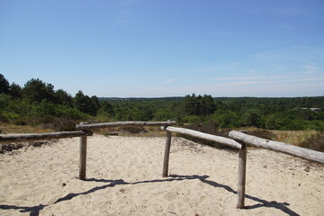Lookout over the Dutch dunes near the village of Bergen and the the North Sea in the summer. Netherlands. 