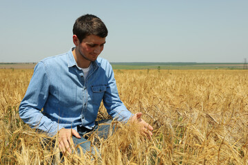 Naklejka na ściany i meble Young man in barley field. Agriculture business
