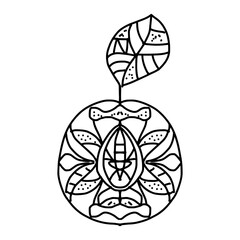 antistress coloring page. apricot with leaf with geometric symmetrical pattern in doodle style on a white background