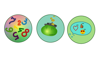 The Importance of Social Networking