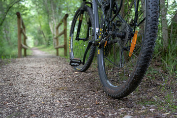Fototapeta premium bicycle placed on a tree in front of a mountain path. Outdoor life concept