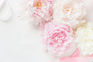 Pink peony background in pastel toned