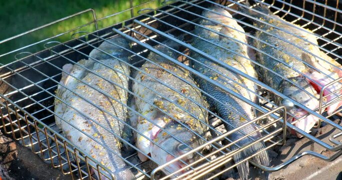 BBQ Fish. Cooking seafish with aromatic spices on barbecue grill plate. Sea bass or grouper fish grilled over charcoal. Baking roasting marinated delicious seafood in summer garden outdoors 4K