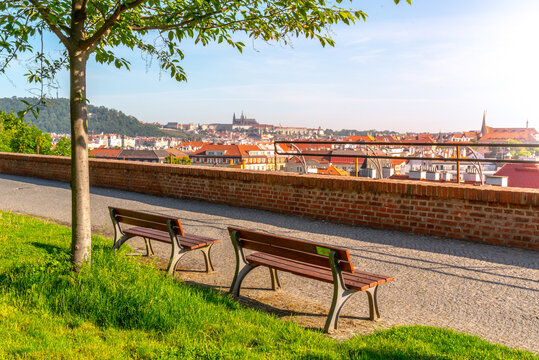 View of Prague Castle from Vysehrad with lush green spring trees, Prague, Czech Republic