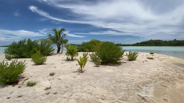 Plage paradisiaque &agrave; Rangiroa, Polyn&eacute;sie fran&ccedil;aise