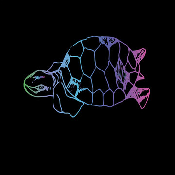 Color neon illustration of a wise tortoise. Swimming turtle in motion with ornament.