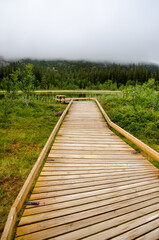 Obraz premium Nationalpark in Schweden