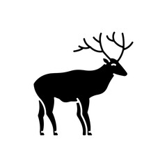 Deer black glyph icon. Hoofed ruminant mammal, herbivore animal with beautiful antlers. Forest wildlife silhouette symbol on white space. Majestic reindeer, horned stag vector isolated illustration