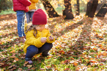 Children hiking in the forest. Girls exploring nature in the woods on warm autumn day. Outdoor recreation and awesome adventures with children in fall © tgordievskaya