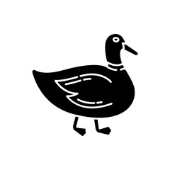 Duck black glyph icon. Common wild waterfowl, domestic bird. Migratory animal, pond inhabitant. Poultry farm, husbandry silhouette symbol on white space. Mallard, quack vector isolated illustration