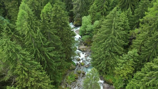 waterfall in the mountains - forest trees river nature