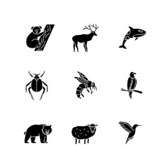 Animal species black glyph icons set on white space. Flying birds, land animals and sea creatures silhouette symbols. Diverse wildlife, exotic and ordinary fauna. Vector isolated illustrations