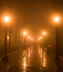 Couple park fog night Kiev