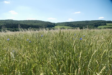 beautiful nature landscape in beskydy in eastern bohemia