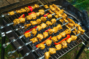 Assorted delicious grilled meat with vegetables over the coals on a barbecue