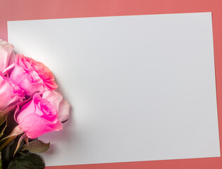 Flat lay with roses and copy space. Pink background