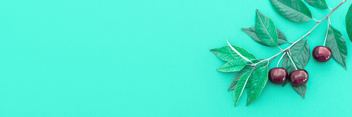 Cherry minimal banner background. Red summer cherry berries with branch on green background. Summer fruits and food concept. Panoramic banner with Copy space.