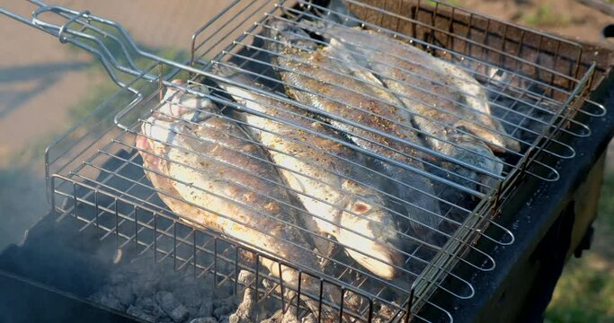 Sea bass or grouper fish grilled over charcoal. Close-up shot cooking seafish with aromatic spices on barbecue grill plate. Baking roasting marinated delicious seafood. BBQ  in summer garden outdoors 