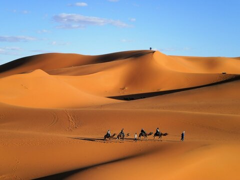 Caravan in Sahara Desert in Morocco