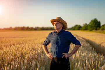 Farmer in hat looking around in field with wheat. Agriculture concept.