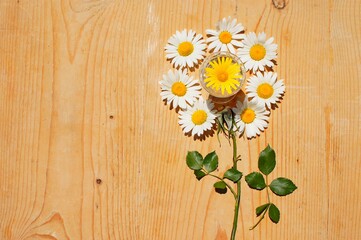 Obraz premium daisies flowers on wooden background copy space