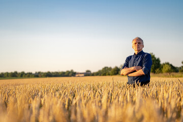 Man-farmer stands cross hands in field with golden wheat. Agriculture concept.