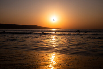 Sunset or sunrise, on the seashore or ocean, in the distance you can see shadows of birds and seagulls, flying or floating on the water