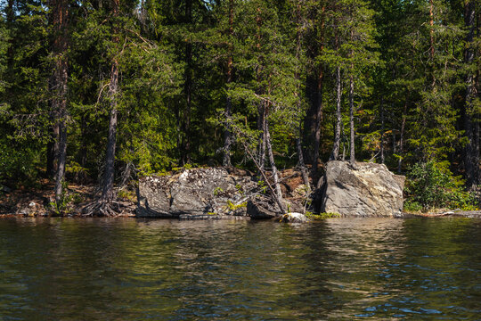 Indalsälven. Trees and rocks on the banks of the Indalsälven River
