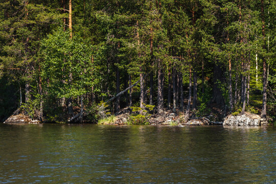 Indalsälven. Trees and rocks on the banks of the Indalsälven River