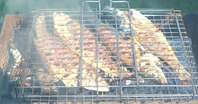 BBQ Fish. Cooking seafish with aromatic spices on barbecue grill plate. Sea bass or grouper fish grilled over charcoal. Baking roasting marinated delicious seafood in summer garden outdoors 4K