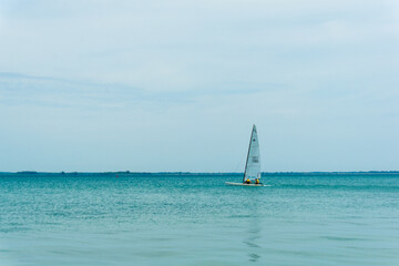 sailboat on the sea