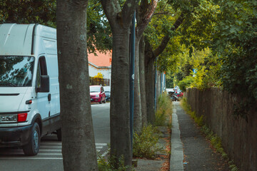 road with trees while a white van passes