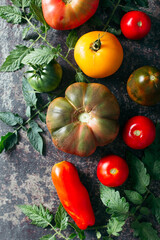 Fresh, ripe multi colored tomatoes on a dark background. Organic food.