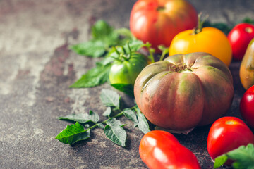 Fresh, ripe multi colored tomatoes on a dark background. Organic food.