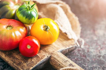 Fresh, ripe multi colored tomatoes on a dark background. Organic food.