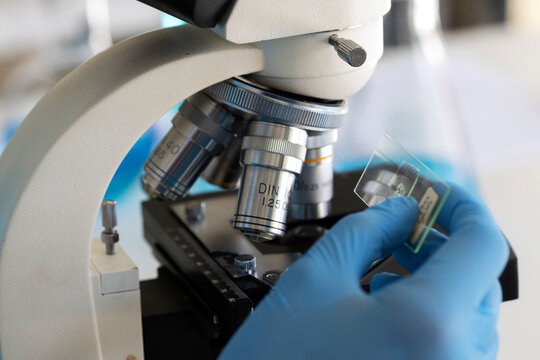 Laboratory technician using microscope