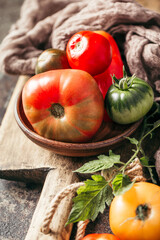 Fresh, ripe multi colored tomatoes on a dark background. Organic food.